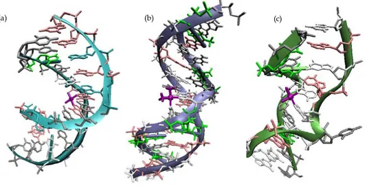 Figure 1.3: X-Ray crystal structures of double stranded DNA containing cisplatin different adducts                (a)1,2-d(GpG) intrastrand cross-link (1AIO); (b)  1,3-d(GpTpG) intrastrand cross-link (1DA4);                            