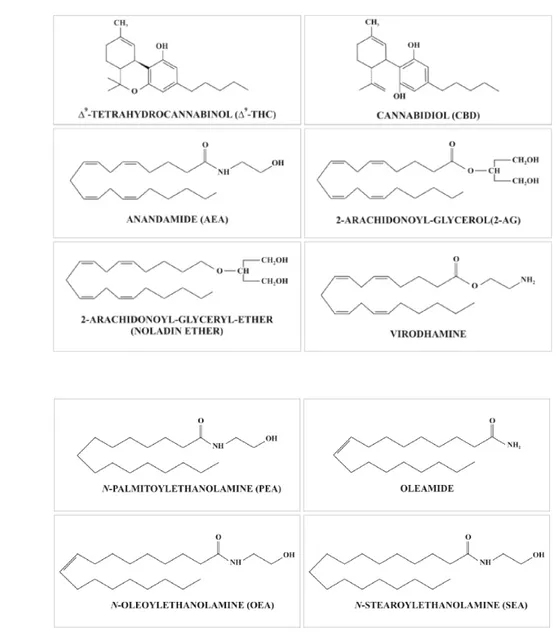Fig. 1.3 (Endo)cannabinoidi. (A) Strutture chimiche dei principali cannabinoidi ed  endocannabinoidi e (B) dei composti “endocannabinoid-like” con maggiore rilevanza  biologica