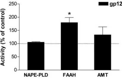 Fig. 3.3 La proteina gp120 aumenta l’attività della FAAH nelle cellule U373MG.  L’attività della NAPE-PLD, della FAAH, e dell’AMT, sono state misurate in cellule trattate  con la gp120 (200 pM, 1h) ed in cellule controllo trattate con il solo veicolo