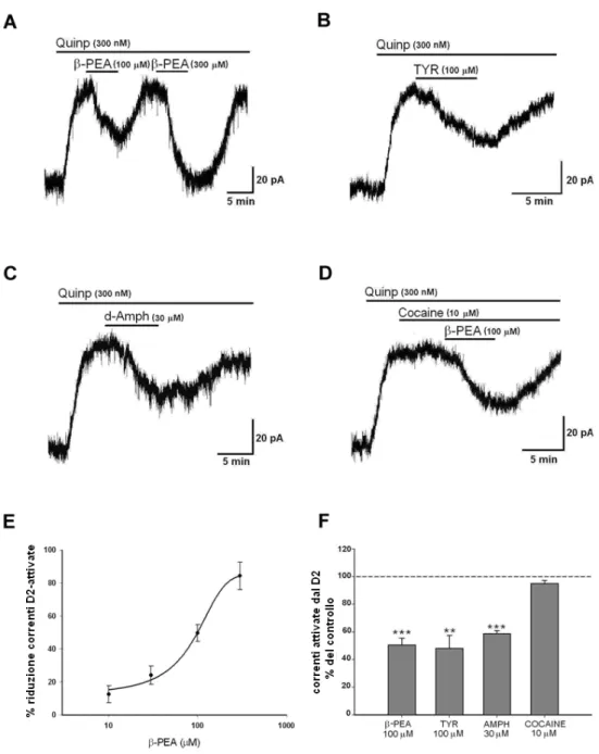 FIG. 1    Registrazioni rappresentative dell’effetto inibitorio della β-PEA (A) e della  TYR (B) sulla corrente uscente (outward) indotta dal quinpirolo