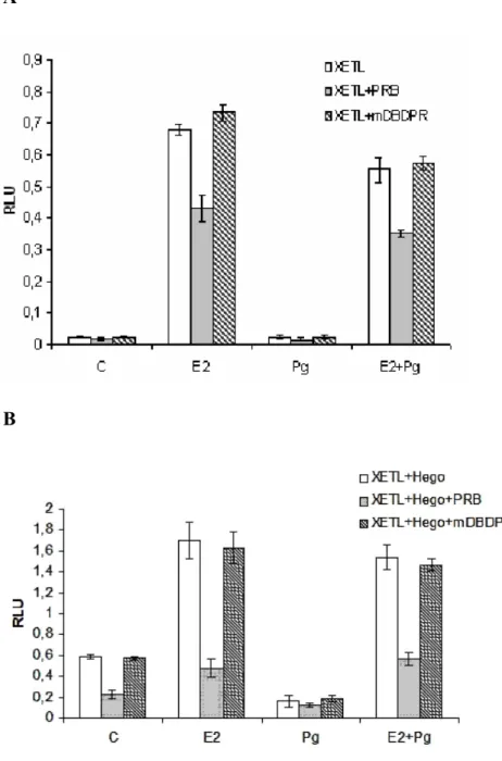 Figure 2. Progesterone Receptor B over-expression represses  the E2/ ER   transcriptional activity