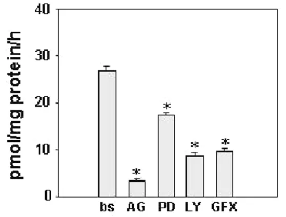Figure 6. Aromatase activity in R2C cells in response to inhibitors of IGF-I pathways