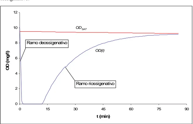 Figura 17: Andamento “a sacco” di una prova di riossigenazione in laboratorio 