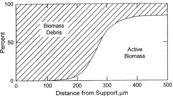 Figura 1.2  Schematizzazione della distribuzione spaziale della biomassa attiva e di  biomassa  decaduta in un biofilm a specie singola 