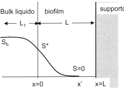 Figura 1.7. Profilo di concentrazione nello strato limite e in un biofilm  parzialmente penetrato