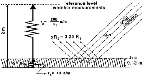Figura 4. Rappresentazione schematica della superficie di riferimento ipotetica  nella formulazione FAO Penman-Monteith (Tratto da Allen et al., 1998) 