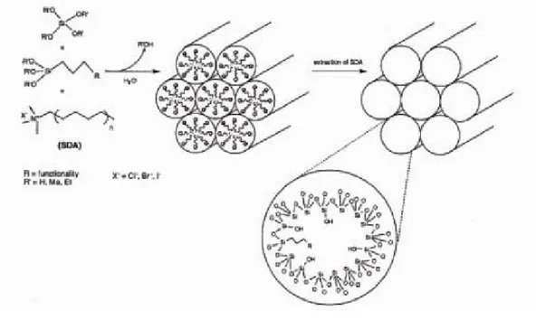 Figura 9. Esempio di cocondensazione di organosilani e tetraalcossisilano di materiali mesoporosi 
