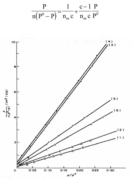 Fig. 10. Diagramma BET ottenuto da prove di adsorbimento di  azoto a 90 K su diversi catalizzatori  166