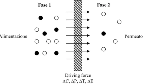 Figura 2.2: Schematizzazione di un sistema a due fasi separate da una membrana. 