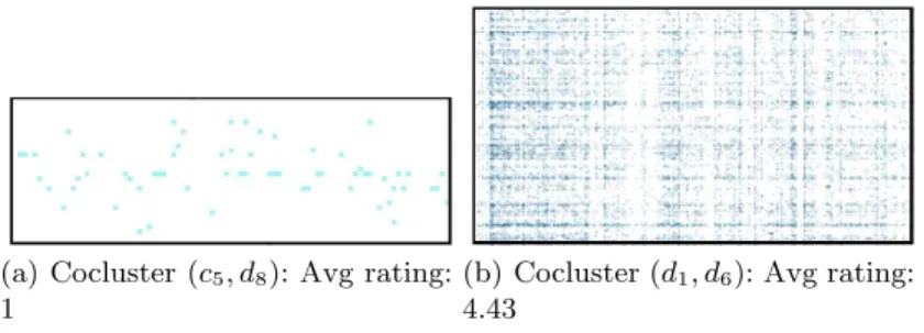 Fig. 3.4. Cocluster Analysis