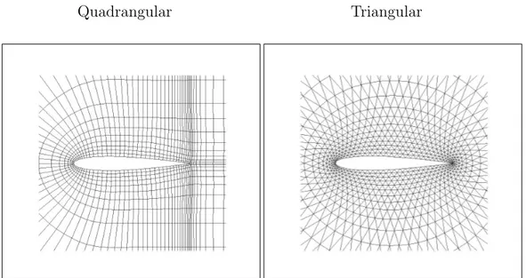 Figure 4.1: Computational Grids