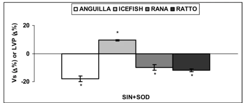 Figura 6. Effetto del SIN-1 (in presenza di SOD 10 IU/ml) su cuore di anguilla (10 −7  M), 
