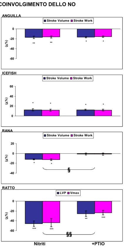 Figura 8. Effetto dei nitriti su cuore di anguilla (10 −5  M), icefish (10 −5  M), rana (10 −5  M)  e ratto (10 -8  M) prima e dopo trattamento con PTIO (10 −7  M)