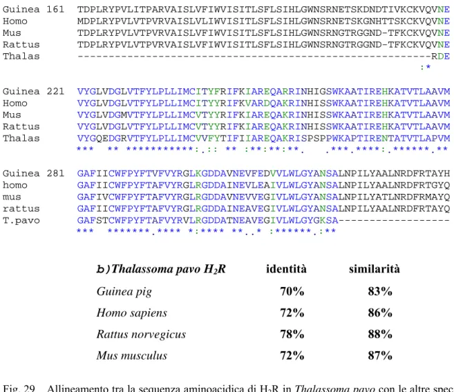 Fig. 29  Allineamento tra la sequenza aminoacidica di H 2 R in Thalassoma pavo con le altre specie 