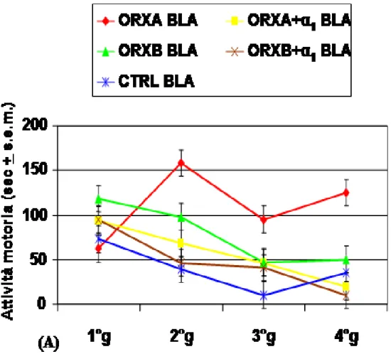 Fig.  23  Attività  giornaliera  (pulirsi+muoversi  nella  gabbia+muoversi  nel  nido+  sollevarsi+annusare:  espressa  in  sec)  nei  diversi  trattati:  ORXA  BLA,  ORXA+α1  BLA,  ORXB  BLA,  ORXB+α1  BLA  vs  CTRL  BLA  (A);  ORXA  Ce,  ORXA+α 1  Ce,  O
