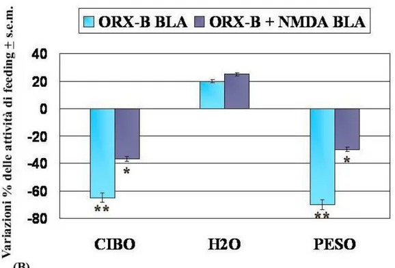 Fig. 24 Variazioni delle attività di feeding espresse in % ± s.e.m di eutermici trattati  icv  con  ORXA  BLA,    ORXA+NMDA  BLA  vs  CTRL  BLA  (A);  ORXB  BLA,  ORXB+NMDA  BLA  vs  CTRL  BLA  (B)