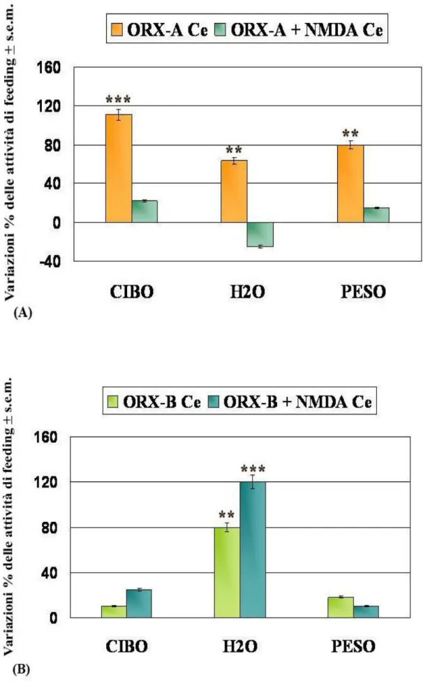 Fig. 25 Variazioni delle attività di feeding espresse in % ± s.e.m di eutermici trattati  icv con ORXA Ce,  ORXA+NMDA Ce   vs CTRL Ce (A); ORXB Ce, ORXB+NMDA Ce vs CTRL Ce (B)