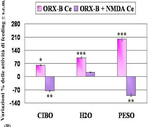 Fig.  27  Variazioni  delle attività di feeding espresse  in %  ± s.e.m di  ibernanti trattati  icv con  ORXA Ce, ORXA+NMDA  Ce,  vs CTRL Ce (A); ORXB Ce, ORXB+NMDA  Ce  vs  CTRL  Ce  (B)