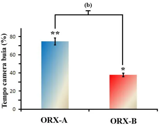 Fig.  28  Effetto  di  iniezioni  ICV  di  ORX-A  e  ORX-B  nel  nucleo  Ce  dell’AMY