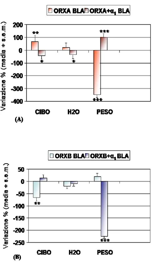 Fig.  21  Assunzione  di  acqua  (ml),  cibo  (gr)  e  variazione  ponderale  evidenziati  in  gruppi di criceti ibernanti in seguito ai trattamenti ICV:ORXA BLA, ORXA+α1 BLA, 