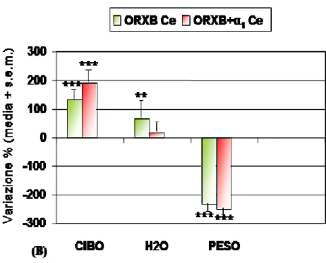 Fig.  22  Assunzione  di  acqua  (ml),  cibo  (gr)  e  variazione  ponderale  evidenziati  in  gruppi di criceti ibernanti in seguito ai trattamenti ICV:ORXA Ce, ORXA+α1 Ce, vs  CTRL  Ce  (A);  ORXB  Ce,  ORXB+α1  Ce  vs  CTRL  Ce  (B)