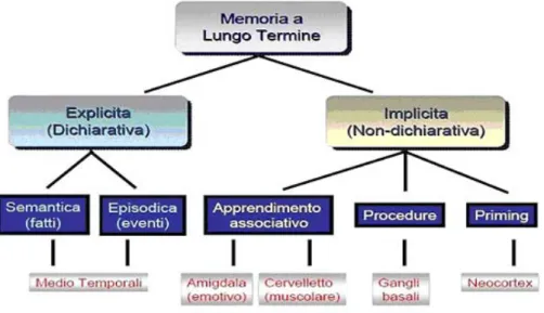 Fig. I.15. Rappresentazione schematica delle diverse forme di memoria e delle principali aree  encefaliche coinvolte nella loro elaborazione