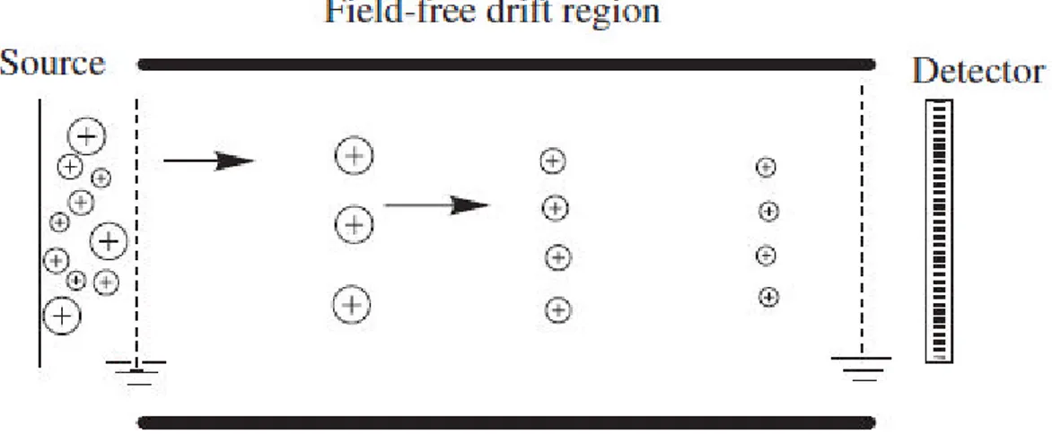 Figure 11: principle of mass separation by a time-of-flight mass analyzer. Ions are separated on the basis