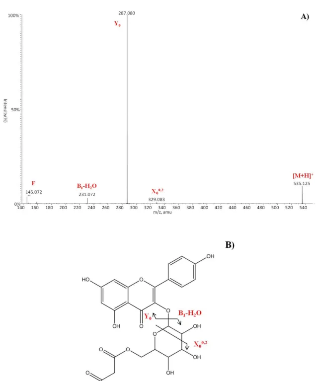 Figure 5: a) MS/MS spectrum in positive ion mode of the species at m/z 535 and b)the suggested