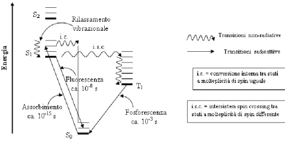 Figura 5: Diagramma di Jablonsky 