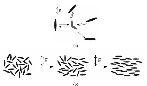 Fig.  3.5.  Photoorientation  of  azobenzene  chromophores.  (a)  The  chromophores  aligned  along  the  light  polarization  direction  absorb,  isomerize,  and  reorient,  while  the  perpendicularly aligned chormophores cannot absorb and remain fixed
