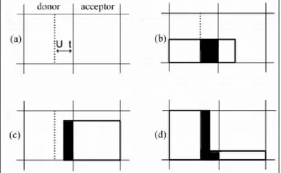 Fig. 3.4 Esempi di forme di superficie libera adoperate nell’advezione di F. la configurazione donatore – 