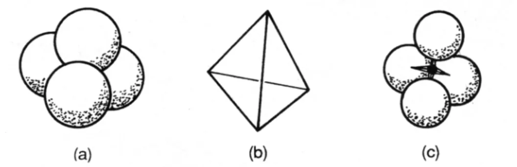 Fig. 3.1 - Schematizzazione del singolo tetraedro silicico: 