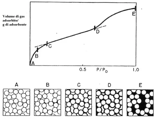 Figura 2.4 Fenomeni tipici dell’Adsorbimento di azoto in un solido poroso 