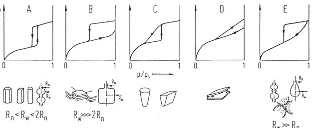Figura 2.6 Cinque tipi di cicli di isteresi e rispettive forme dei pori. 