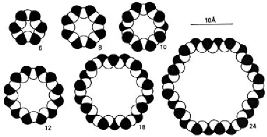 Figura 1.11 Canali di zeolite