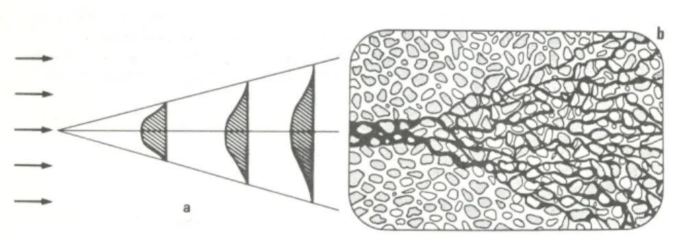 Figura 11: Schema della dispersione laterale dei filetti fluidi in un terreno granulare [Chiesa G.,  1988]