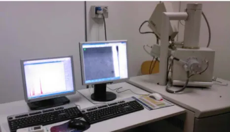 Figura 4.4 - Microscopio elettronico a scansione S.E.M. della FEI modello Inspect   con sonda per microanalisi (EDAX) INCA Energy 300 