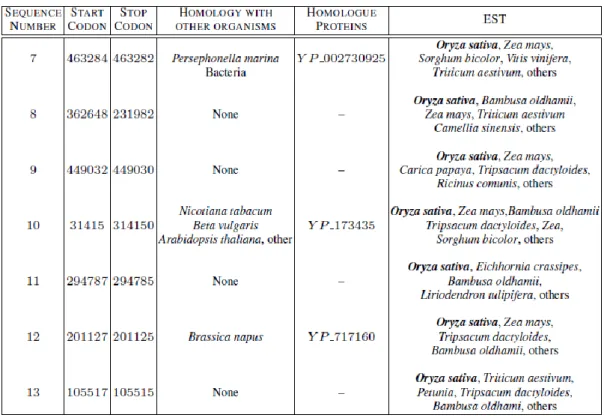 Table 4.2.  Candidate ORF sequences from reverse DNA strand presenting 