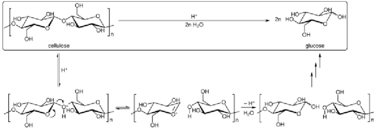 Fig. 2.8 The acid-catalyzed hydrolysis of cellulose to yield glucose 