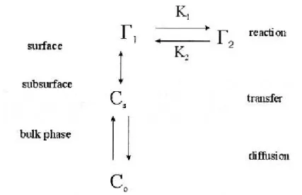 Figure 15. Schematic of the diffusional and surface reorientation reactions close to the interface  [Führling  (2004)]