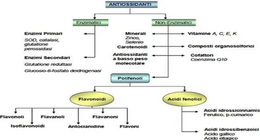 Fig. 1.28 Classificazione degli antiossidanti 
