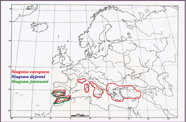 Figura 1.1: Distribuzione di S. dejeani, S. jenissoni e S. europaea nel bacino del Mediterraneo