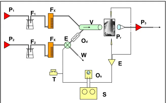 Figura 5.5: Schema del sistema olfattometrico utilizzato per la somministrazione degli stimoli: P 1 , P 2 , 
