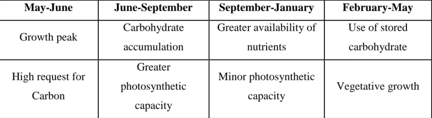 Table 3: Seasonal growth and carbon metabolism in Posidonia oceanica.     