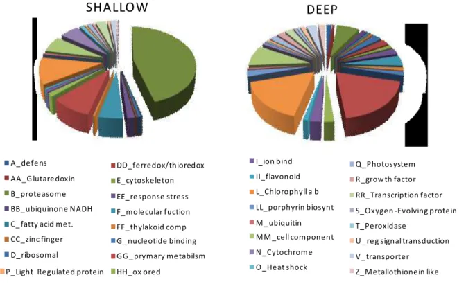 Fig.  4.2.2.6-  Pie  chart  with  all  the  TUGs  which  showed  homologies  with  known  proteins