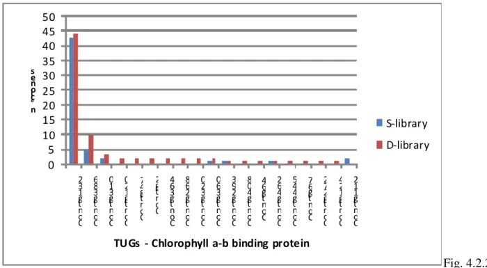 Fig. 4.2.2.8  This is also true for Proteasoma-related proteins, where in the S-library there are 8 different TUGs  encoding  for  Proteasome  sub-unit  α,  while  only  2  different  TUGs  were  present  in  the  Deep  one  (fig4.2.2.9) 