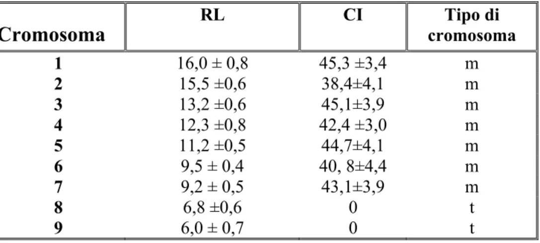 Tabella 3.2. Parametri morfometrici (Lunghezza relativa, RL, e indice  centromerico, CI, e classificazione dei cromosomi di P