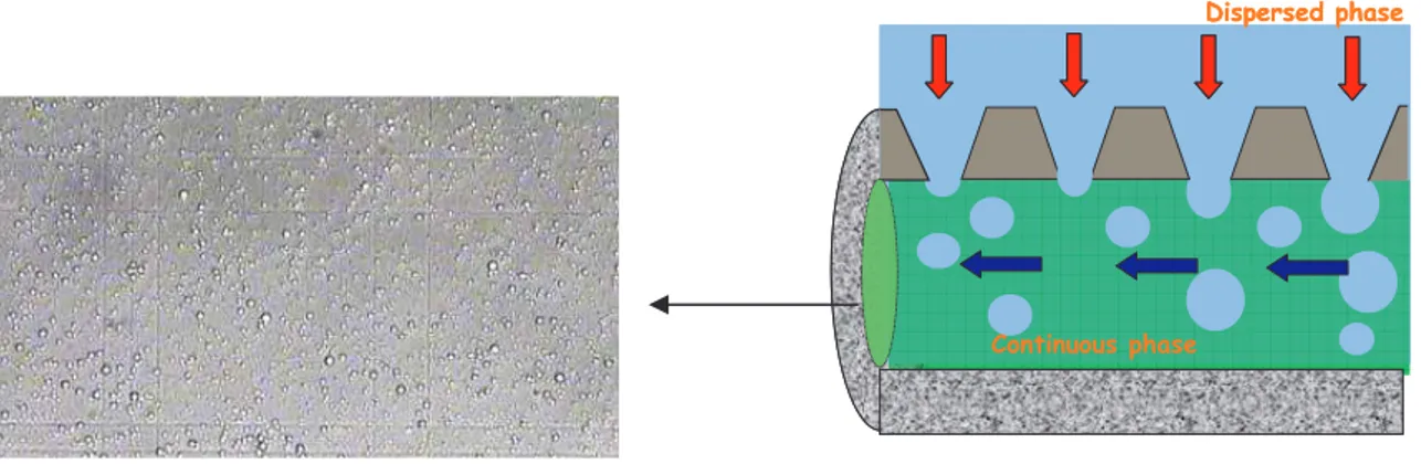 Fig.  3.3.  Scheme  of  principle  of  cross  flow  membrane  emulsification  process  in  tubular membrane and emulsion image observed by optical microscopy