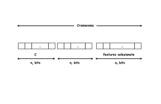 Figura 3.5: Definizione di cromosoma per la Model Selection