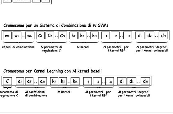 Figura 4.3: Definizione dei cromosomi delle 3 popolazioni per il Framework proposto